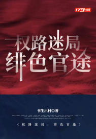 权路迷局:绯色官途